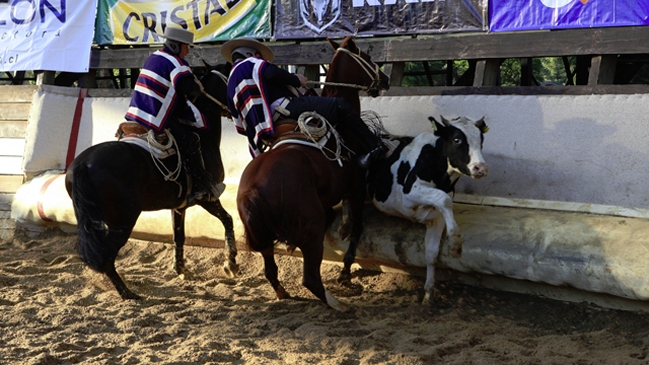 Criadero Lo Miranda conquistó el Clasificatorio de Melipilla