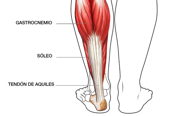 Lo Peor de lo Nuestro: ¿Dónde está el sóleo?