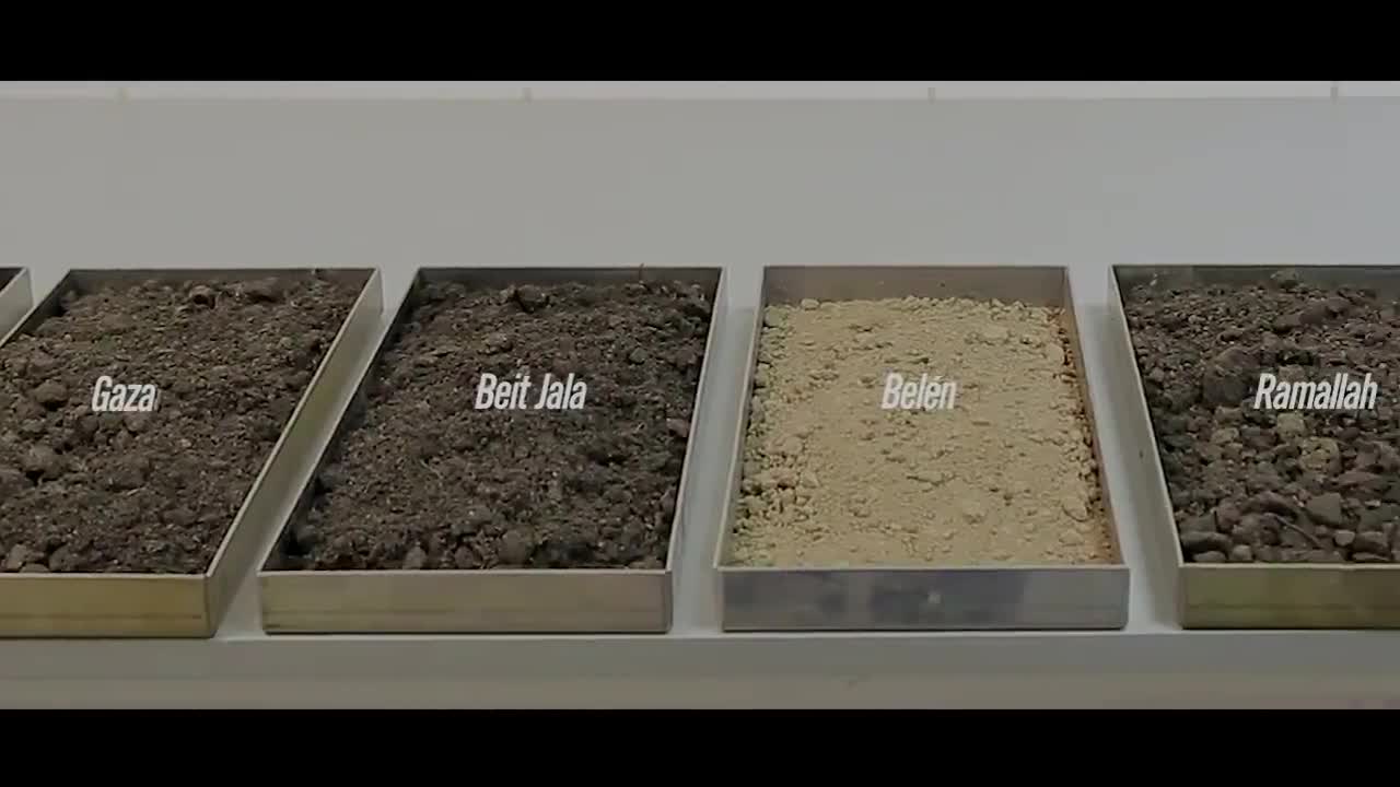 La campaña para traer tierra de Palestina al Estadio Municipal de La Cisterna