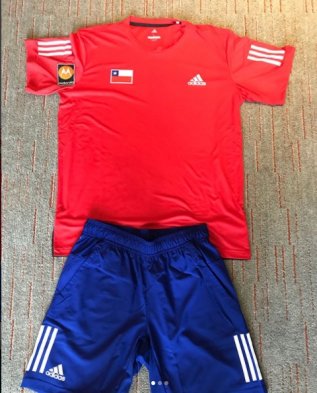 Esta será la tenida que ocupará Nicolás Massú frente a Ecuador