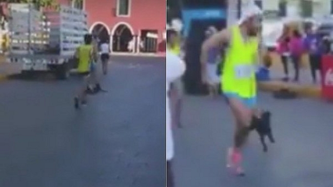 Maratonista se ganó el repudio en redes sociales por patear a un perro