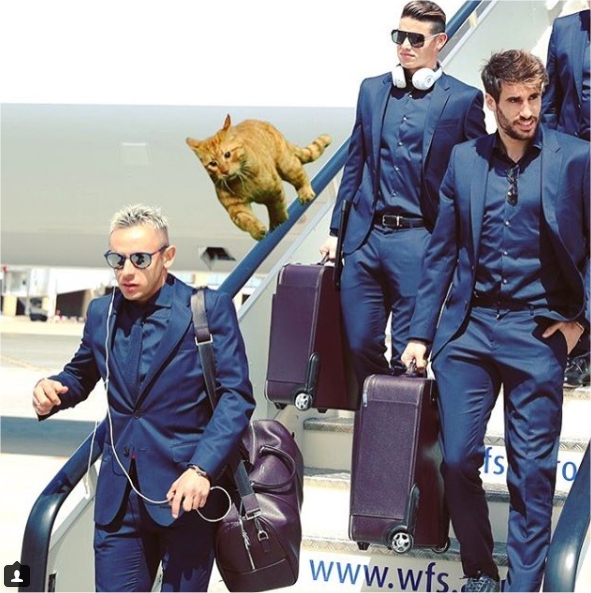 Bayern Munich aún alucina con el gato de la llave ante Besiktas