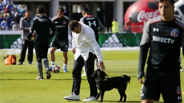 El perro Sultán se la jugó con el pronóstico del Superclásico entre la U y Colo Colo