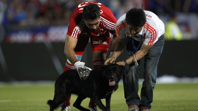 El perro Sultán vaticinó resultados de la fecha 10 y dio alentador pronóstico para la Roja femenina
