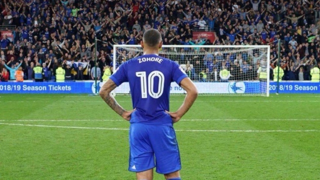 Cardiff City ascendió a la Premier League y sus hinchas celebraron invadiendo la cancha