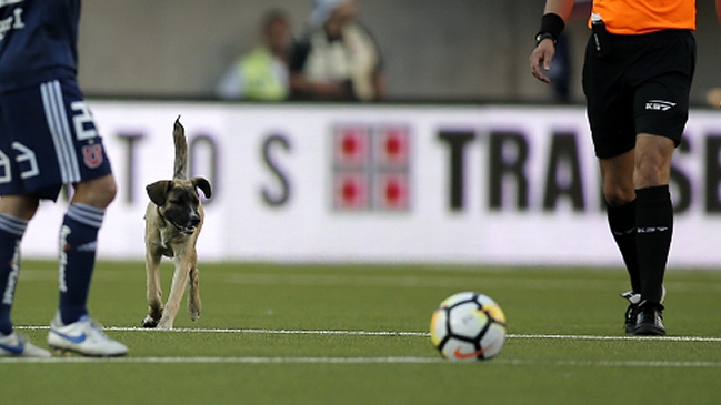 Sultán dio su pronóstico para el clásico universitario en San Carlos