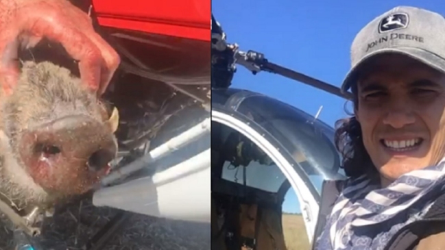 Edinson Cavani fue criticado por cazar un jabalí