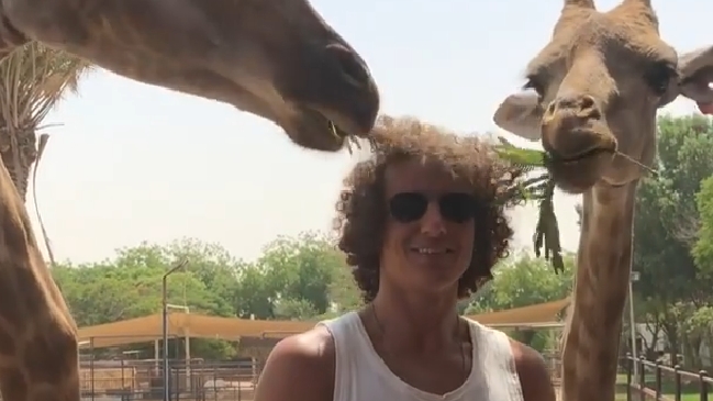 Jirafa confundió pelo de David Luiz con comida