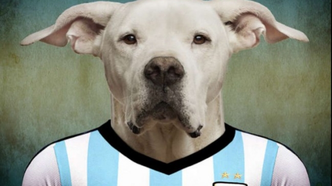 El perro “Sultán” pronosticó el Nigeria vs. Islandia con un resultado esperanzador para Argentina