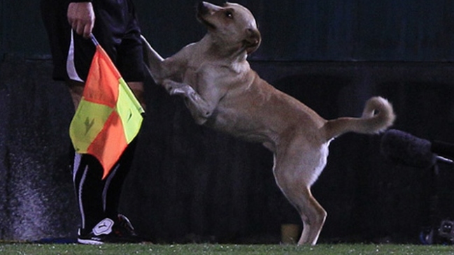 Sultán se la jugó con triunfos para ingleses y croatas en cuarto de final