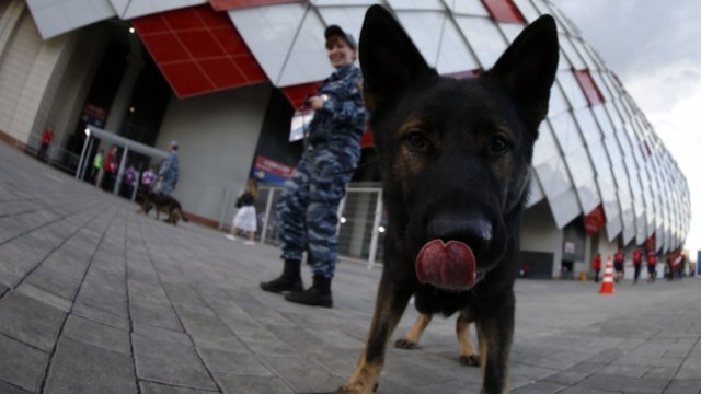 El perro Sultán pronosticó a dos “esforzados” finalistas en Rusia 2018