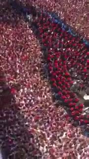 La locura generalizada en las calles de Croacia a horas de la final