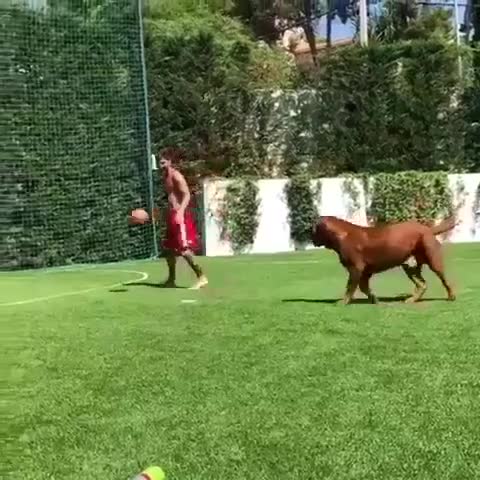 Siempre encuentra rival: Messi se divirtió con su perro “Hulk” en vacaciones