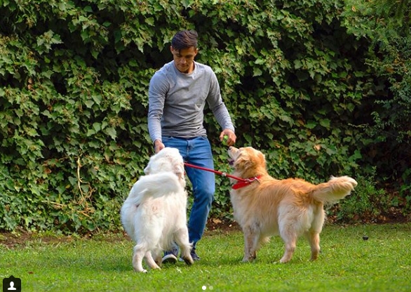 El tierno mensaje de Alexis a sus perros