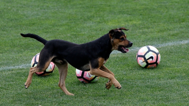 Sultán vaticinó un festejo para Colo Colo y malas noticias para la U y la UC