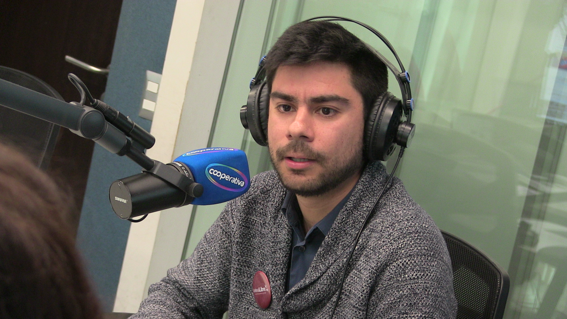 ONG Animal Libre: El rodeo saca lo peor del ser humano