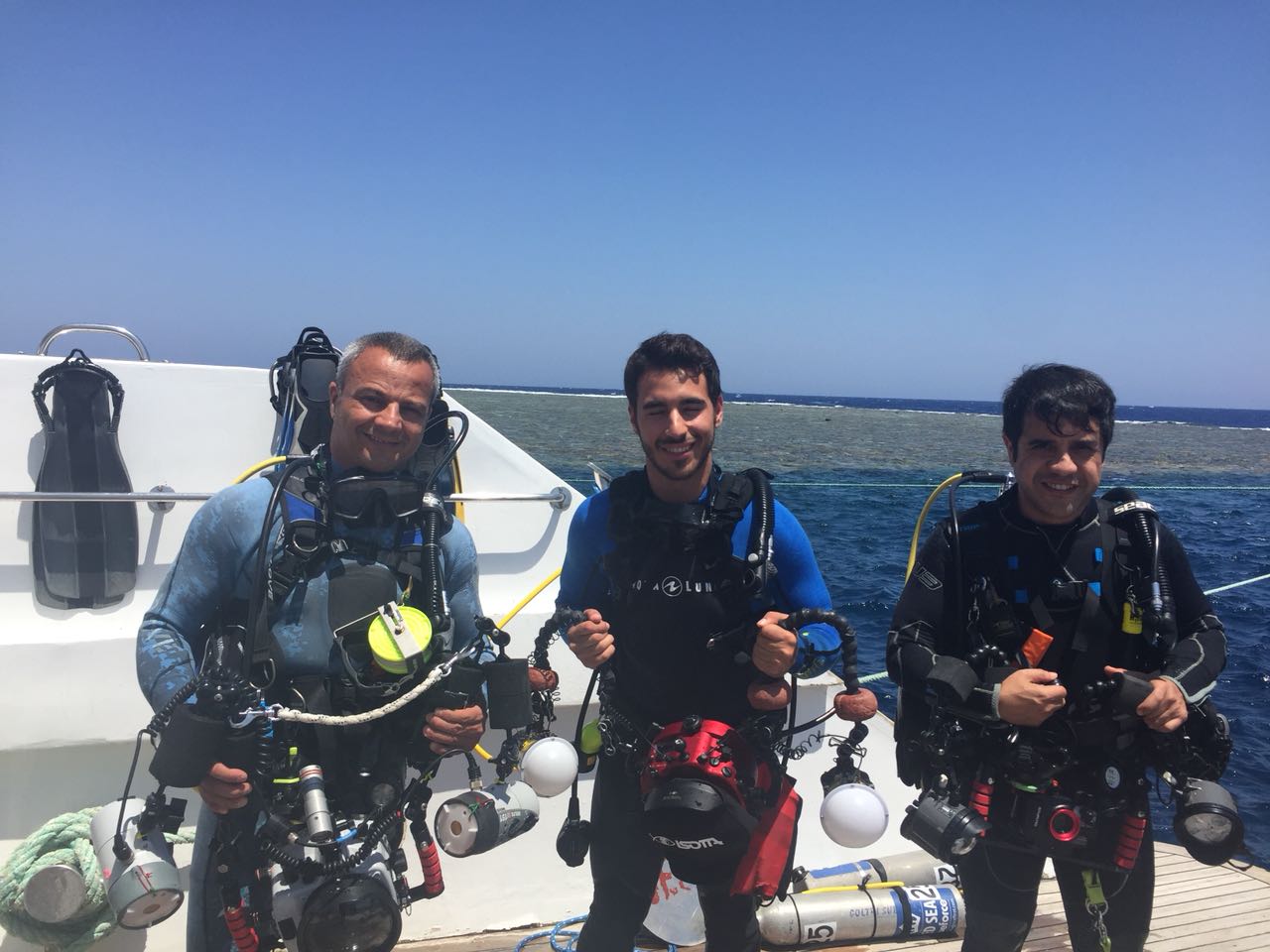 Chillanejos se capacitaron junto a selecto grupo mundial dedicado a la fotografía submarina