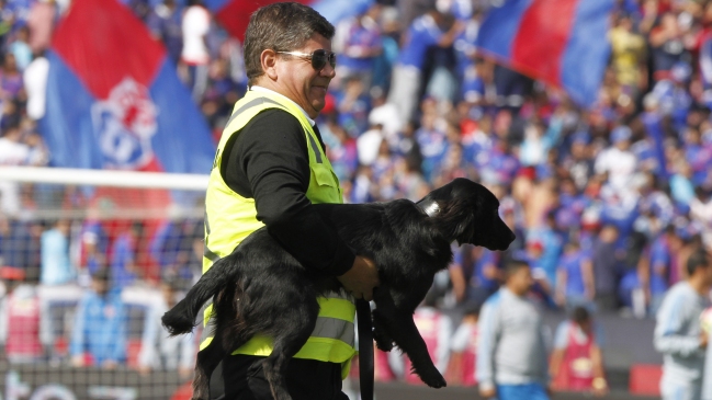 El perro Sultán pronosticó un traspié de la UC y triunfos para la U y Colo Colo