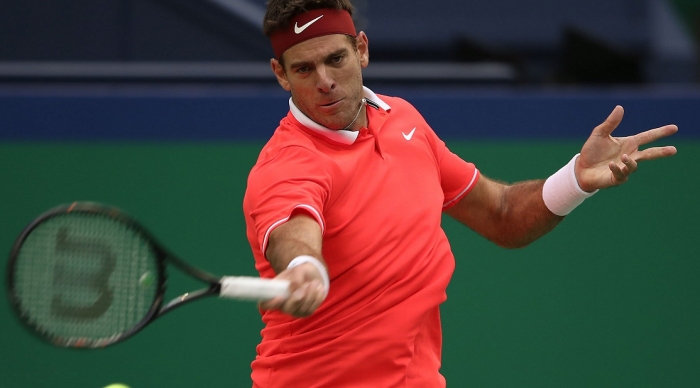 Del Potro se golpeó la rodilla y optó por el retiro en Shanghai