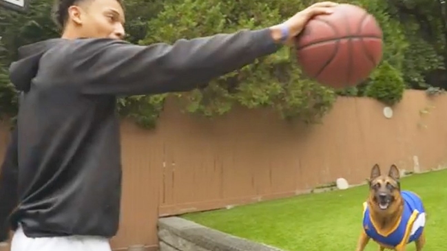 La perra “Koa” que se hizo viral por su gran habilidad para el baloncesto