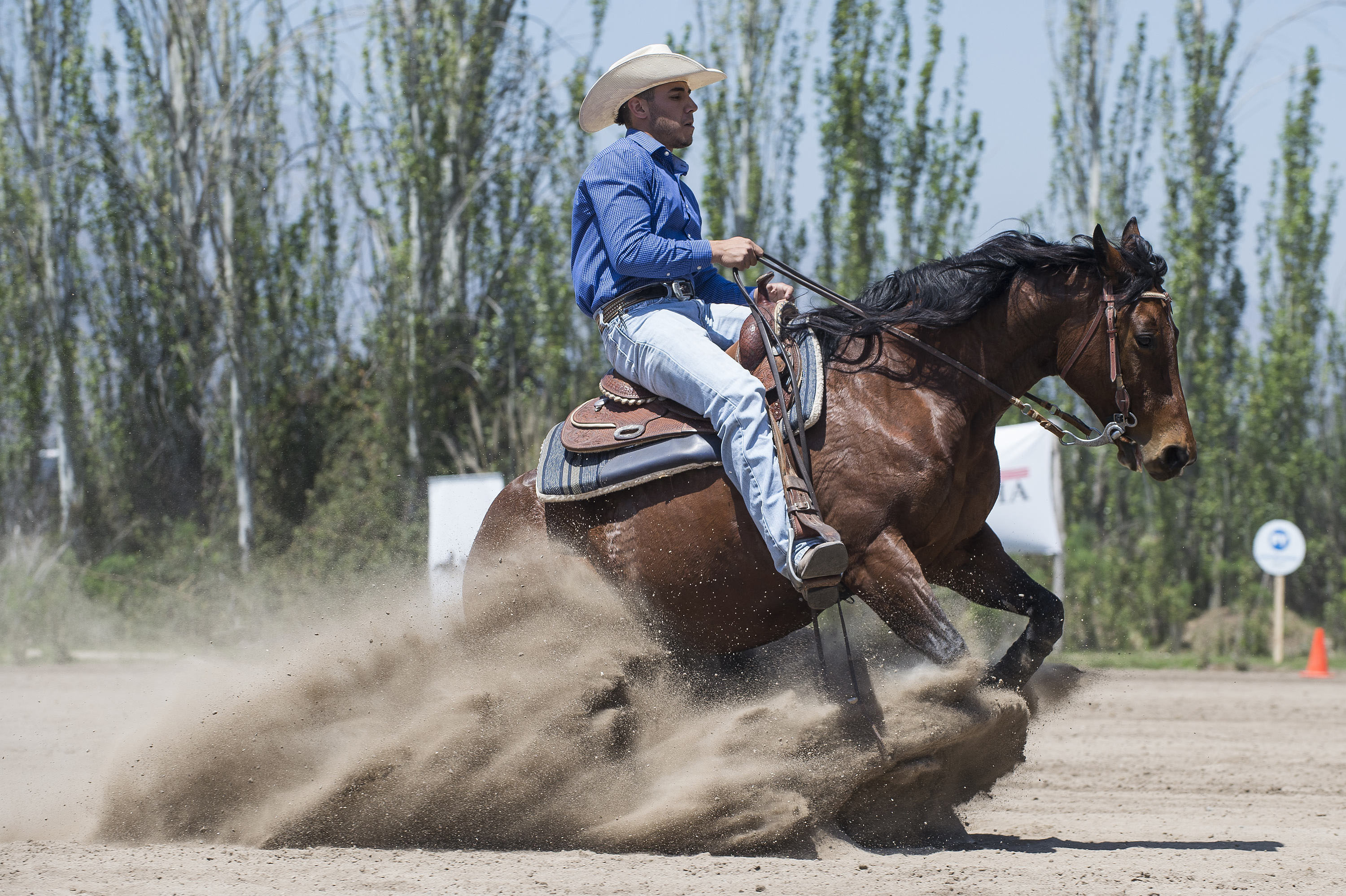 Paraguayo Junior Olmedo ganó prueba de Rienda en 20° Campeonato Ecuestre Criadero Los Cóndores