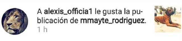 “Me gusta”: La interacción de Alexis Sánchez con Mayte Rodríguez en Instagram