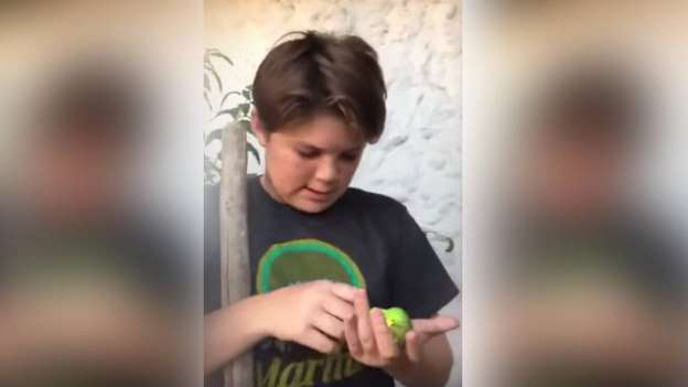 ¿Qué apodos de animales recuerdas en el fútbol?