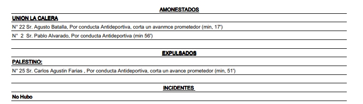 El error de César Deischler: Informó como expulsado a jugador de Palestino que sólo amonestó