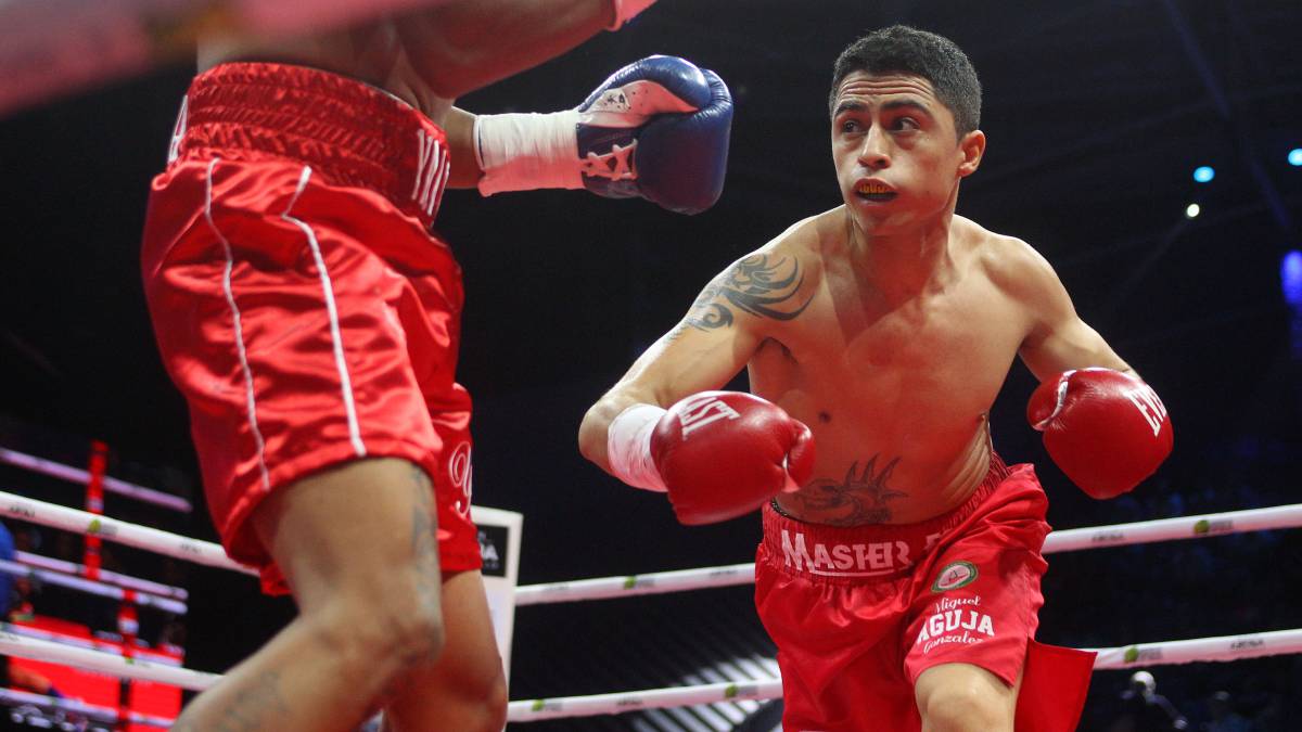 Miguel “Aguja” González y Andrew Moloney pelean por ser retador al título mundial