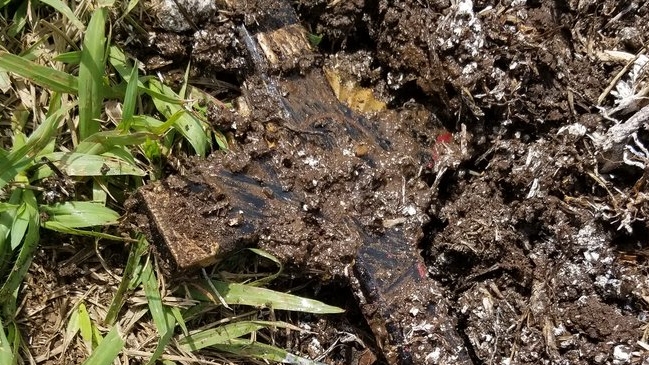 Una docena de crucifijos fueron enterrados en cancha de la liga salvadoreña