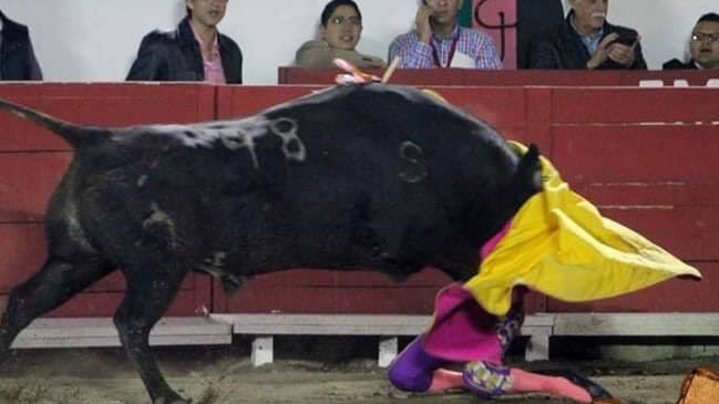 Torera mexicana recibió terrible embestida y una cornada en el rostro