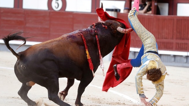 Torero sufrió herida de 30 centímetros en la pierna por terrible cornada