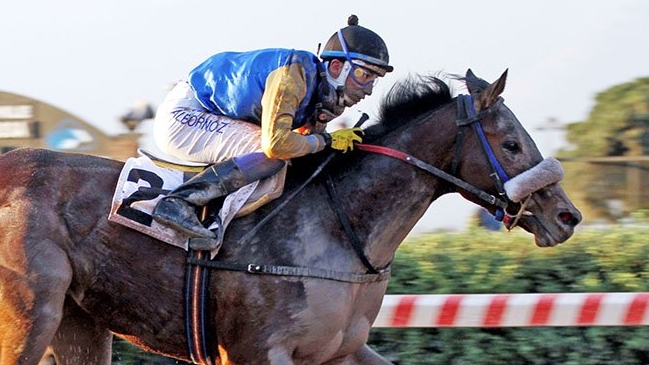 Ruby Princess ganó el Clásico Premio Radio Cooperativa en el Hipódromo Chile