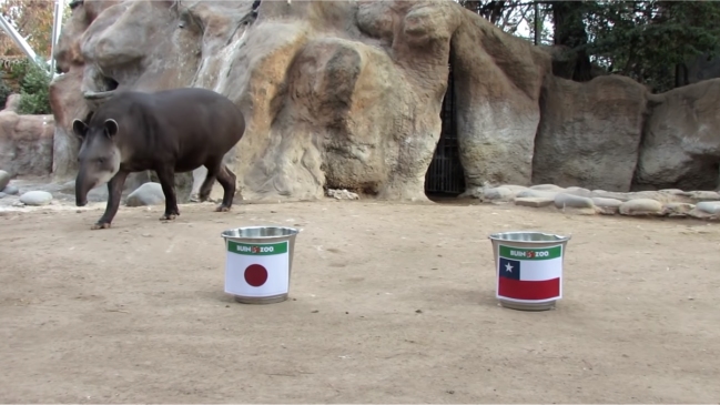 Tapir “Manolo” pronosticó negativo estreno de Chile en la Copa América