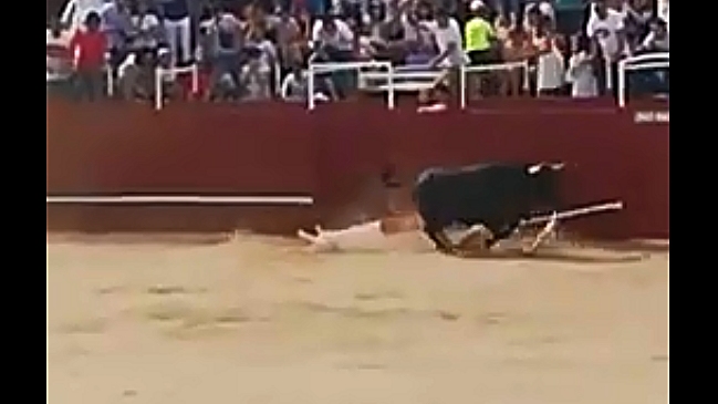 La mortal embestida a un operario de plaza de toros en España