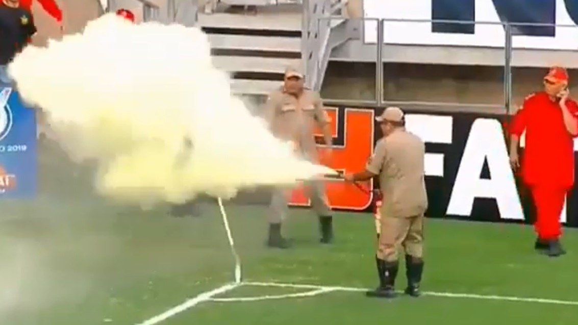 Una invasión de abejas retrasó el inicio del duelo entre Inter y Fortaleza por el Brasileirao