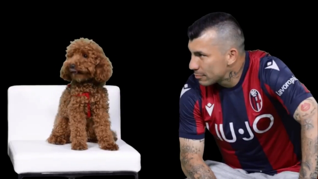 “No te metas con el Pitbull”: La particular presentación de Bologna para Gary Medel