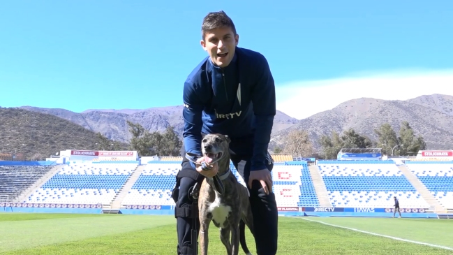 Benjamín Kuscevic contó la emotiva historia de Galga, una perrita que necesita hogar