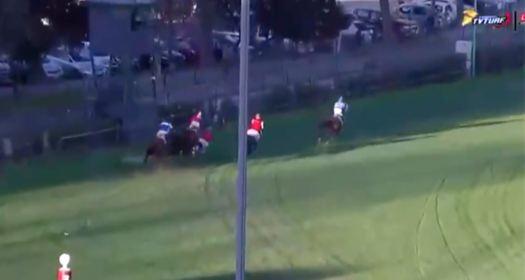 Tres caballos fueron sacrificados tras accidente en “carrera a la chilena” en el Club Hípico
