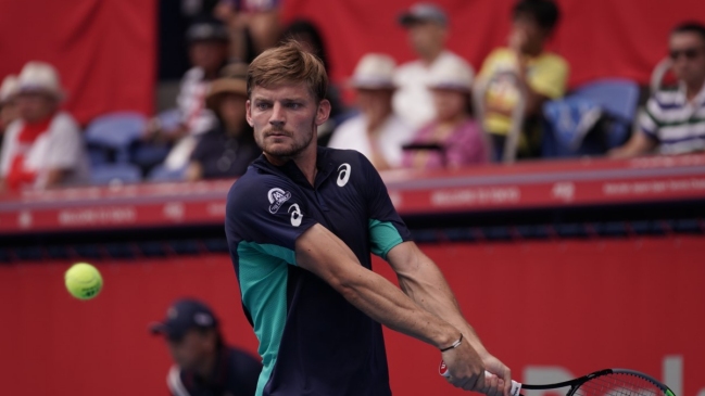 Goffin pasó a cuartos de final y Cilic cayó en el ATP de Tokio
