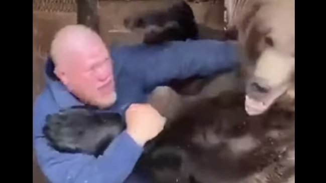 Estrella rusa de la MMA sometió a un oso de 250 kilos