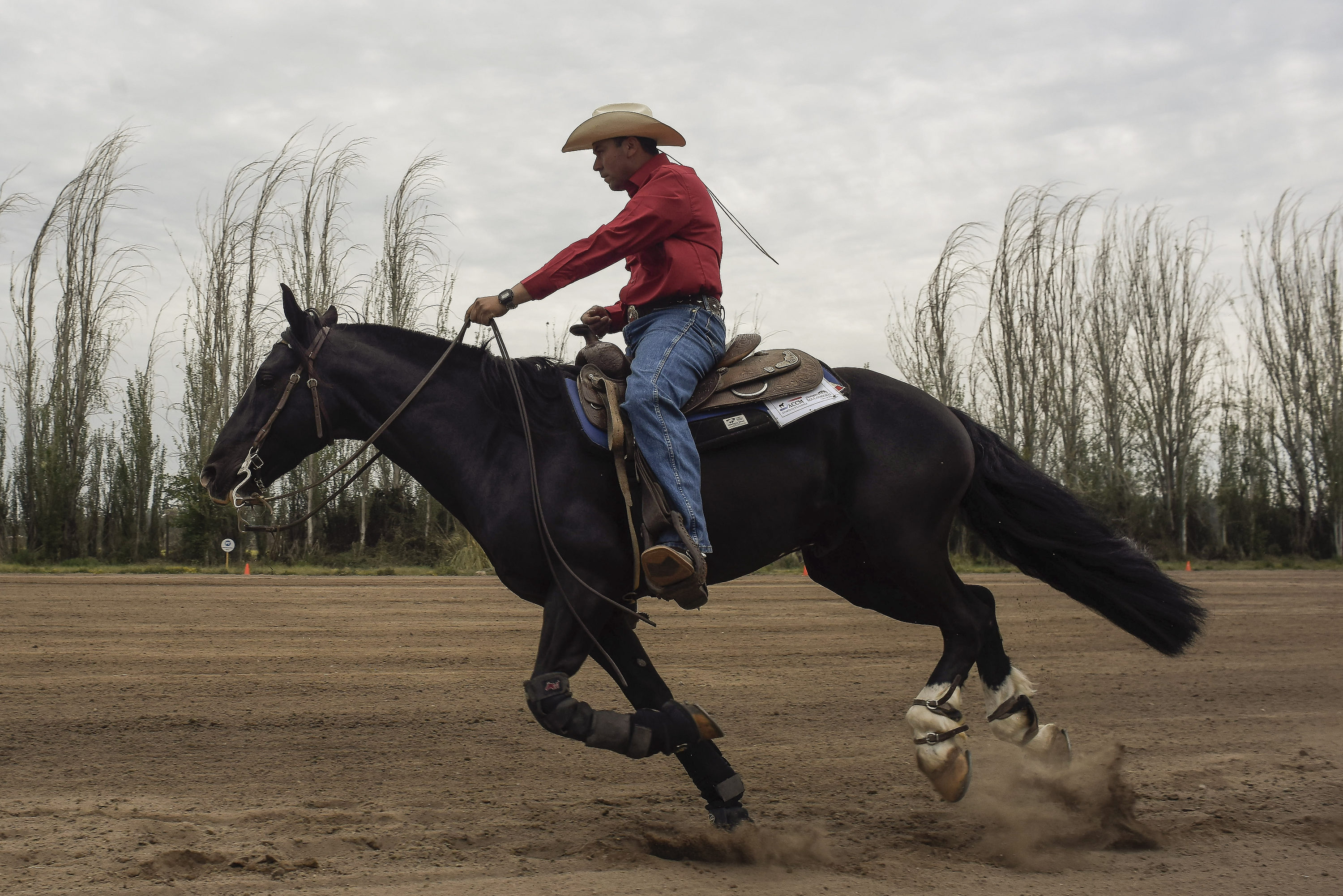 Más de cien binomios protagonizan Campeonato Ecuestre Criadero Los Cóndores