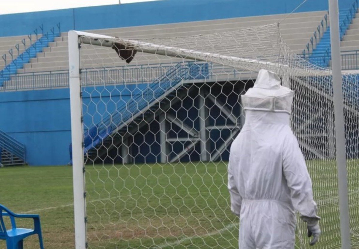Un panal de abejas obligó a retrasar partido del fútbol brasileño