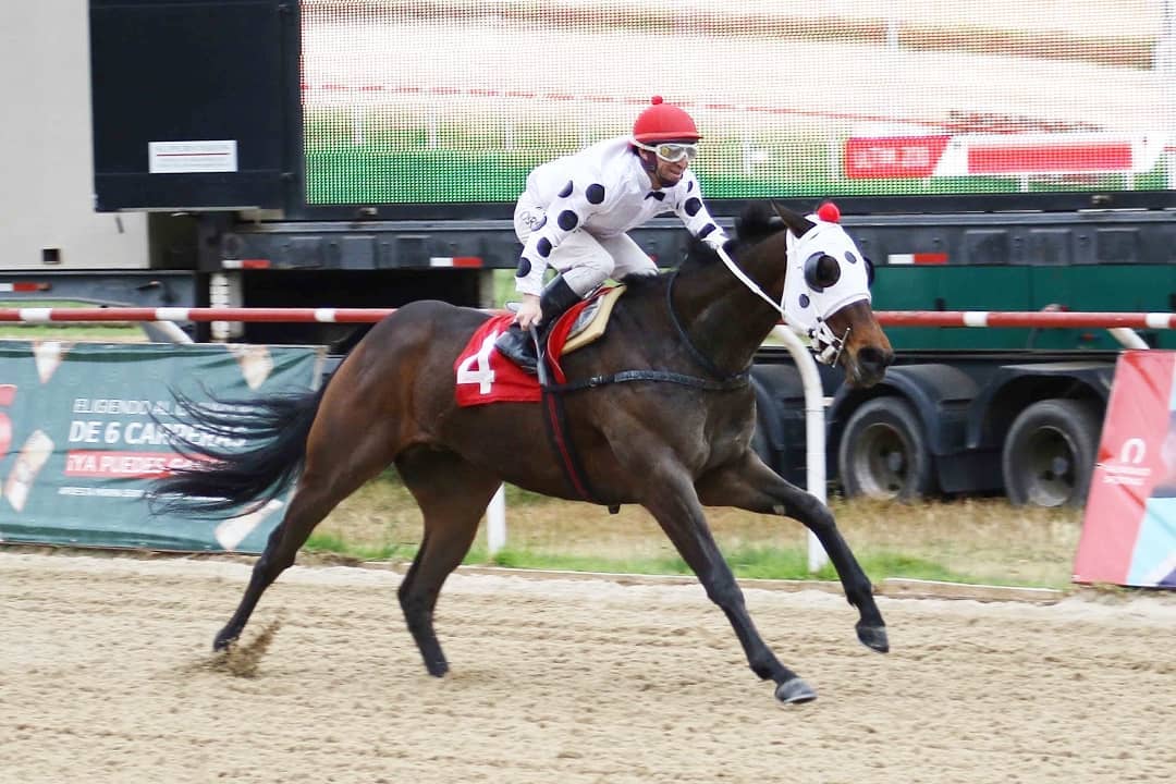 Valparaíso Sporting suspendió las carreras hípicas de este miércoles