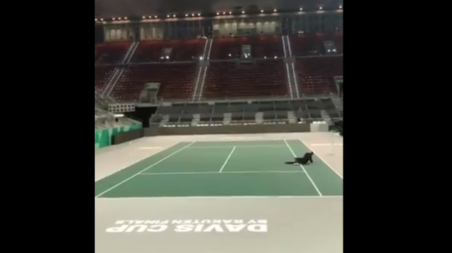 Al Aire Libre en Cooperativa ya está en Madrid para presenciar las Finales de la Copa Davis