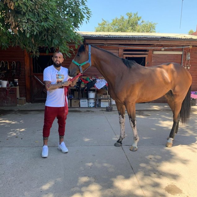 Arturo Vidal mostró los nuevos ejemplares de su criadero de caballos Haras Il Campione
