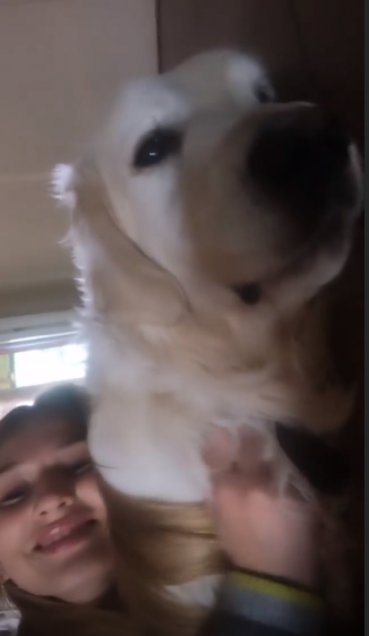 Anna Modler, ¿la nueva pareja de Alexis Sánchez?