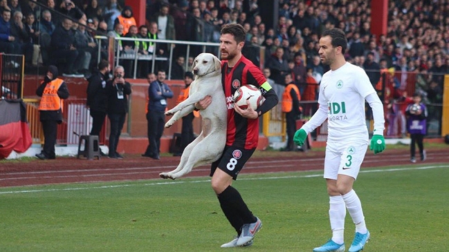 Juguetón perro impidió la correcta ejecución de un tiro libre para el equipo de Cristóbal Jorquera