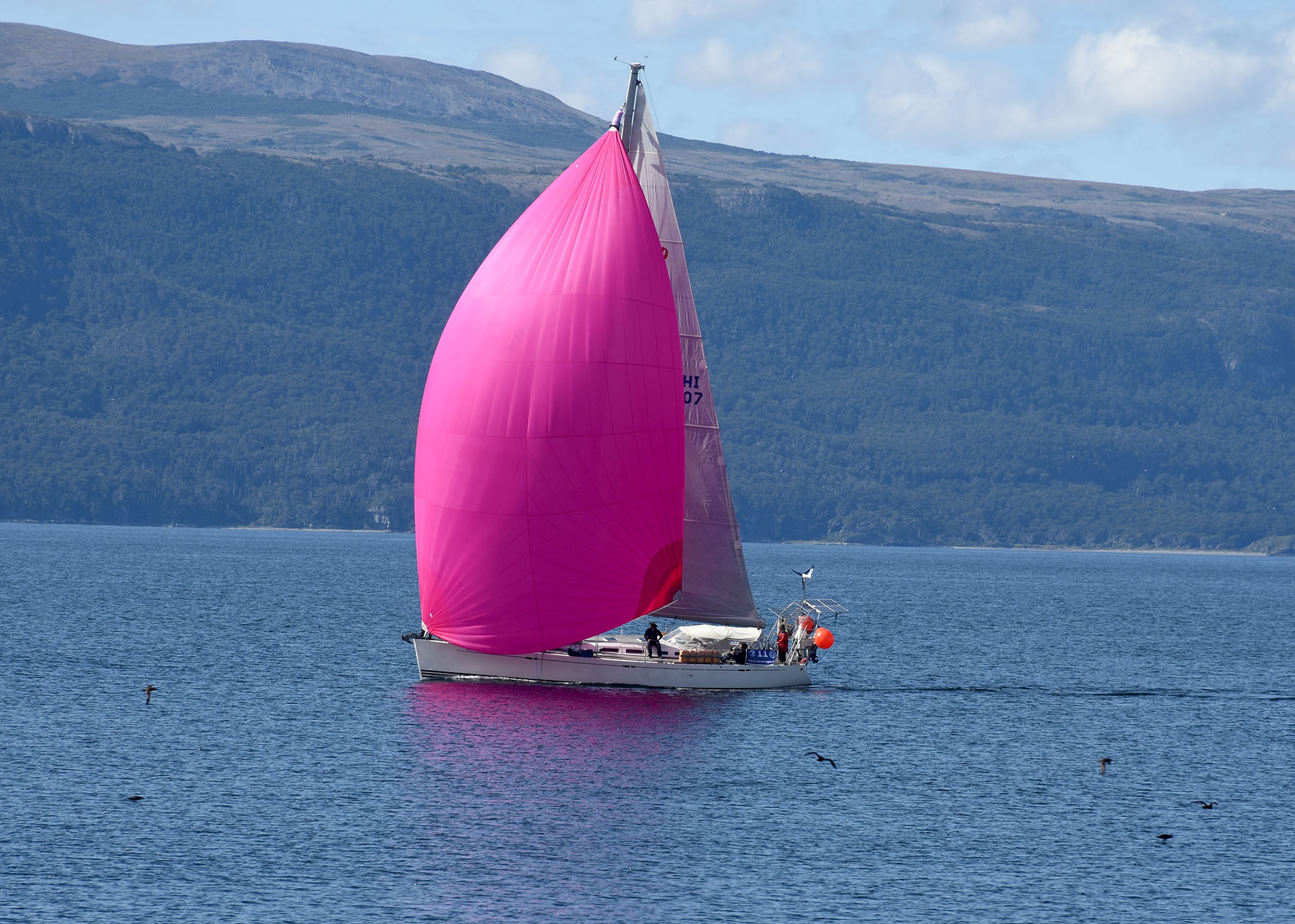 Patagonia fue el mejor en la regata Desafío Cabo de Hornos