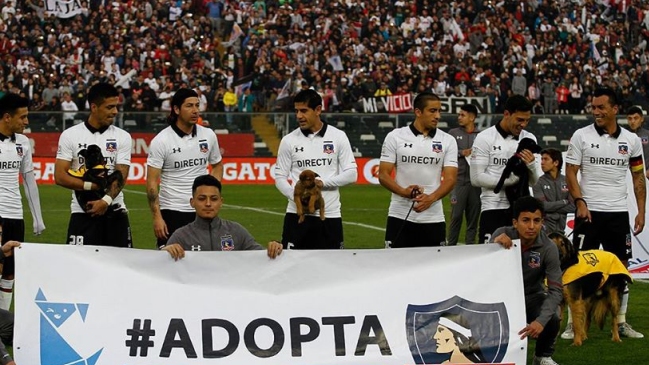 Alex Morgan valoró antigua iniciativa de Colo Colo de buscar adopción para perros